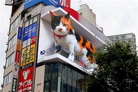 武蔵新城駅 写真 駅前の猫が哲学的な表情を浮かべている理由