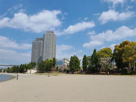 お台場海浜公園中央駐車場: 都市のオアシスと未来の交差点