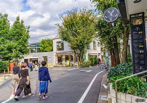 レジデンス代官山：都市のオアシスと文化の交差点